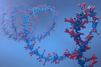 Фармкомпания Eli Lilly покупает американскую биотех-компанию Orna Therapeutics за $2,4 млрд